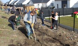 Plantations Cavalier   035